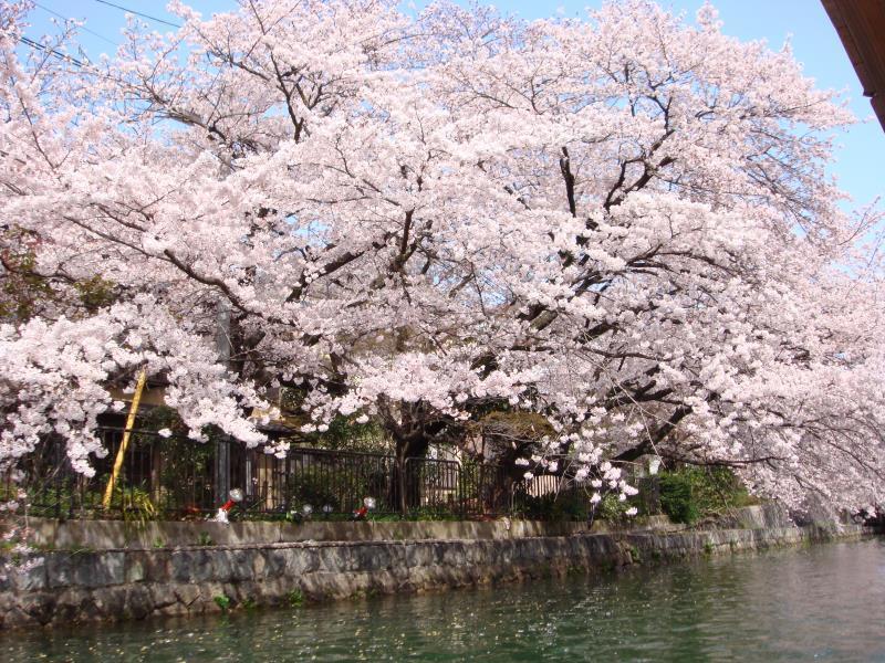 The B Kyoto Sanjo Hotel Exterior photo